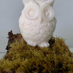 Owl candle
